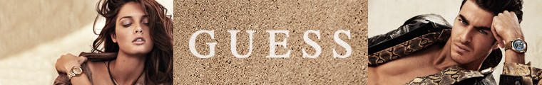 GUESS-banner-760.jpg