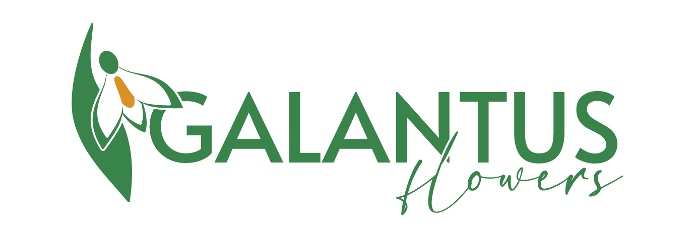 GalantusFlowers