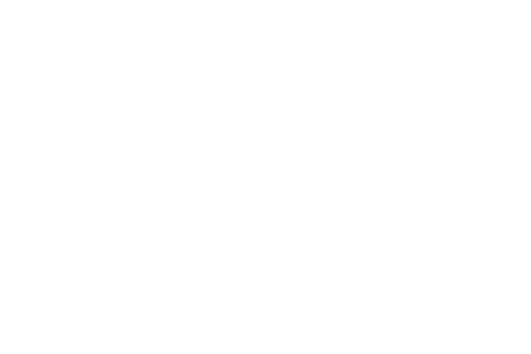 Vogger