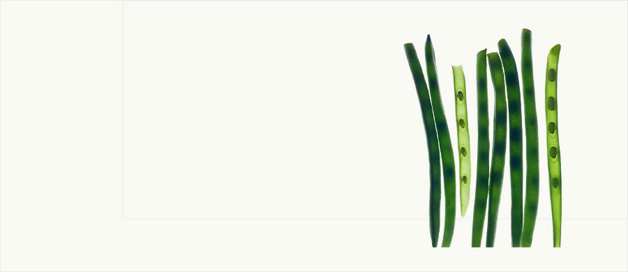 Индивидуальная программа