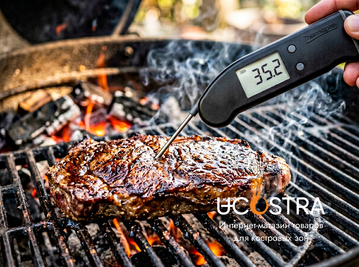 термометр в стейке