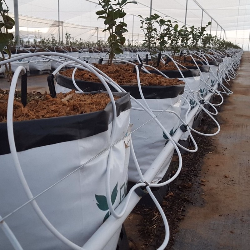 Naandanjain-High-Quality-Farming-Drip-Pipe-Irrigation-for-Agriculture.avif