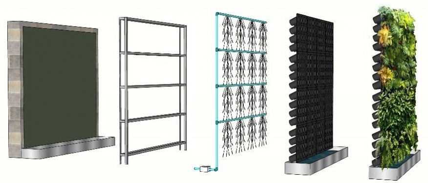 Вертикальное озеленение и фитостены