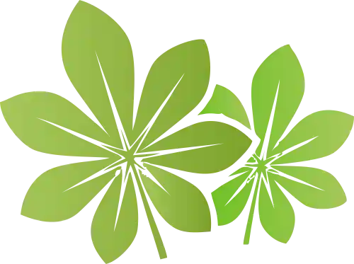 чистый состав.webp