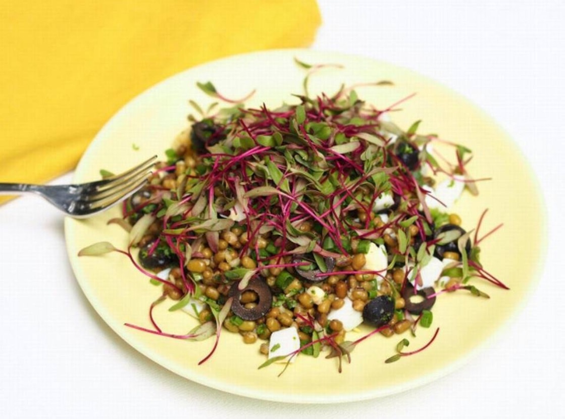 Рецепт из маша с микрозеленью свеклы