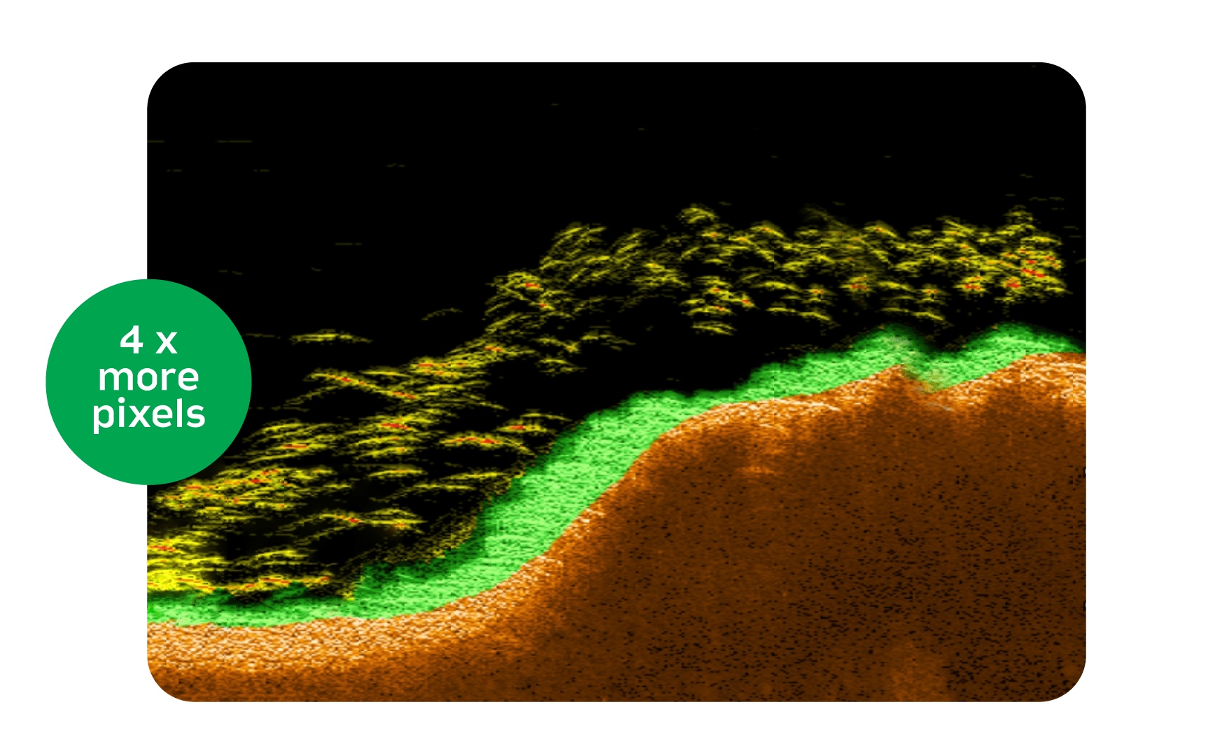 better_clarity_for_shallow_waters.png