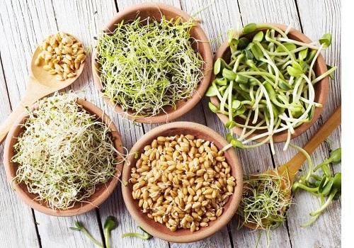 Традиционное проращивание зерна