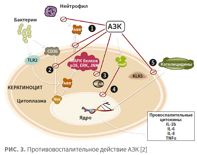 Тамразова КМ 3-2025_Рис 3.png