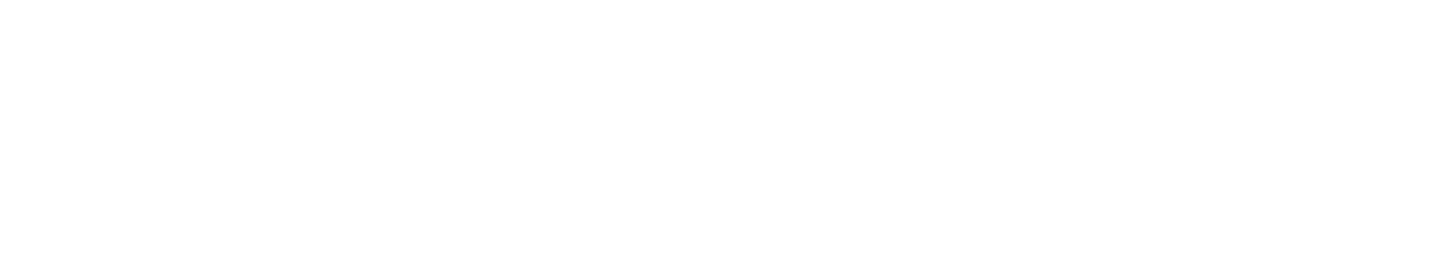 FinePlan