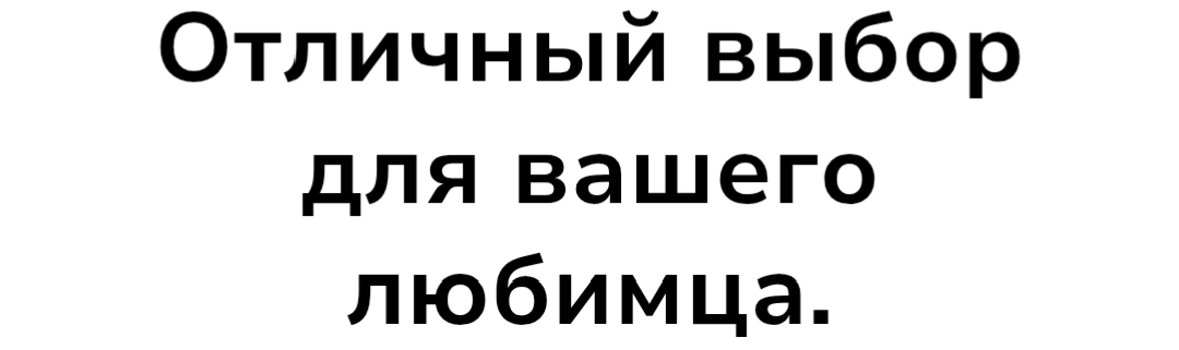 1000081087 1000081087.jpg