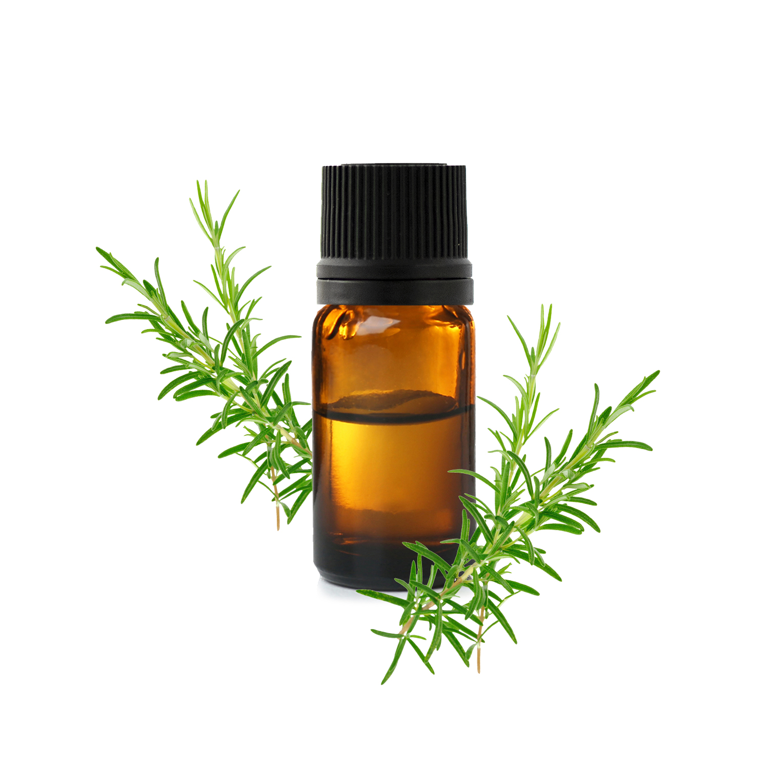 камфорный_розмарин_1772091629510-1772091631152.jpg камфорный_розмарин_1772091629510-1772091631152.jpg