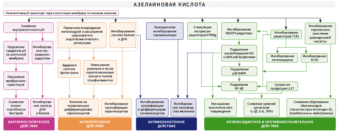Тамразова КМ 3-2025_Рис 6.png