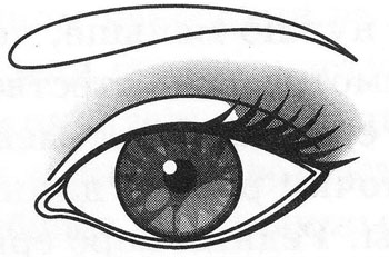 Макияж глаз: cхемы коррекции, цели, формы (десять).