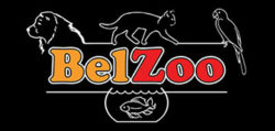 BelZoo