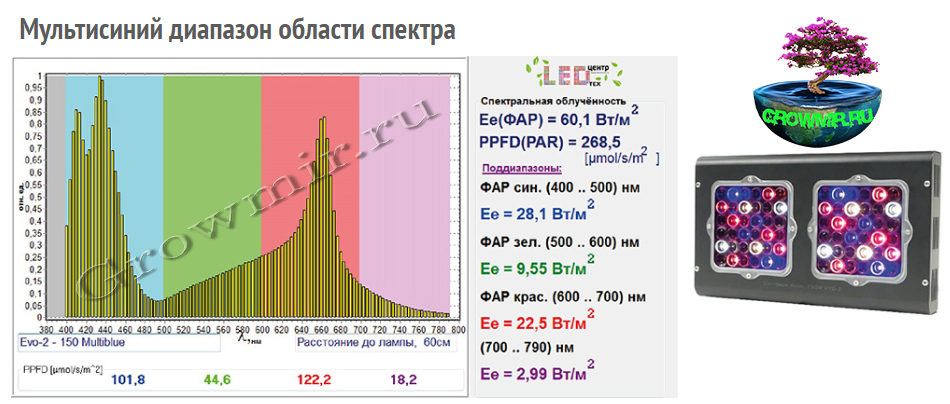 LED_лампы_Еси_Гров_150_Ево_2_купить_в_гроумир_Мультисиний.jpg