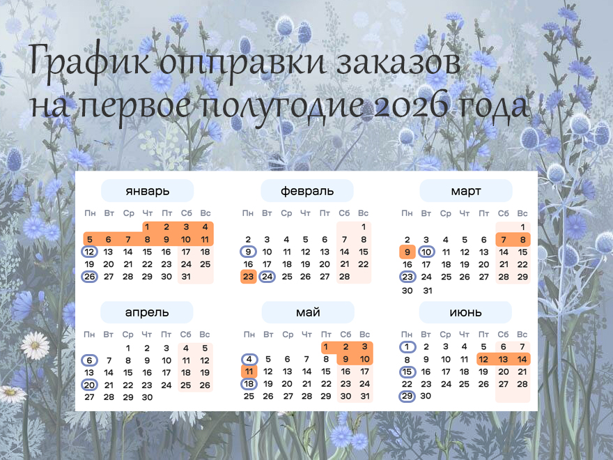 отправки 2026 - 1 отправки 2026 - 1.jpg