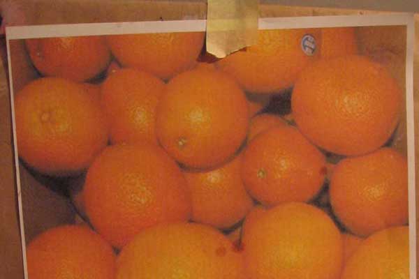 Сушеные апельсины на елку: 4 способа