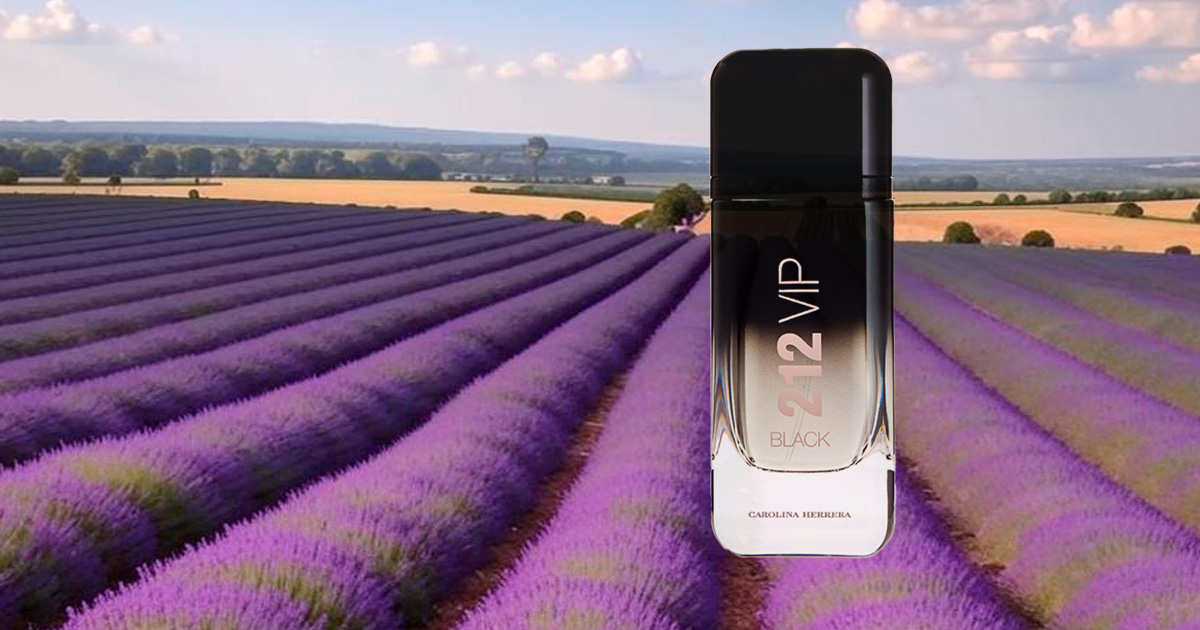 Carolina Herrera 212 VIP Black eau de parfum — парфюмерная вода для мужчин. Купить в интернет-магазине Parfum.cash с доставкой