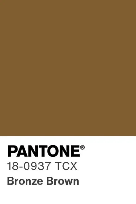 PANTONE 18-0937 Bronze Brown — Бронзовый коричневый