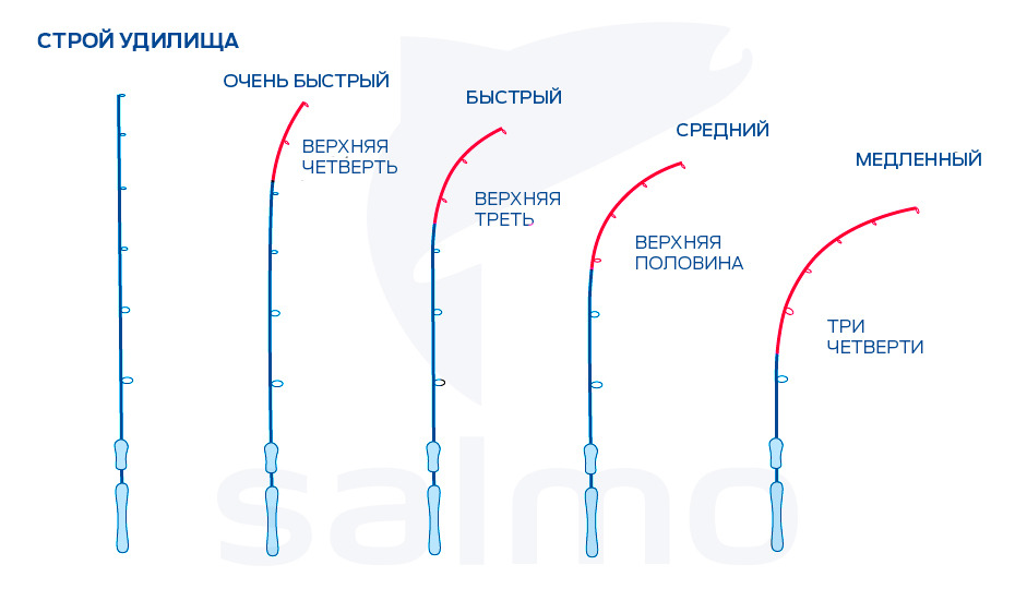 Что такое и каким бывает строй спиннингового удилища