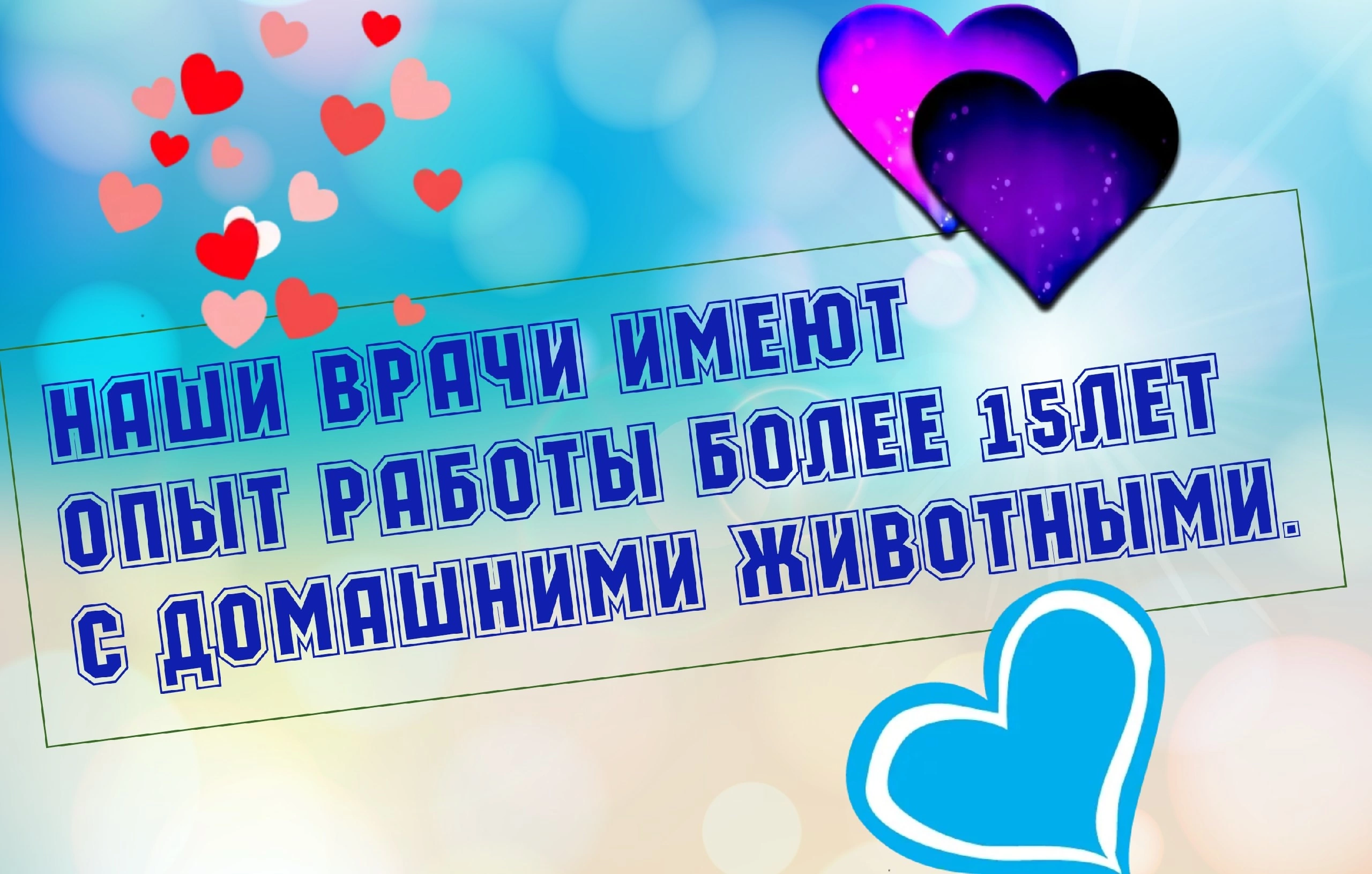 Ветеринарная клиника Доктор Пчёлка