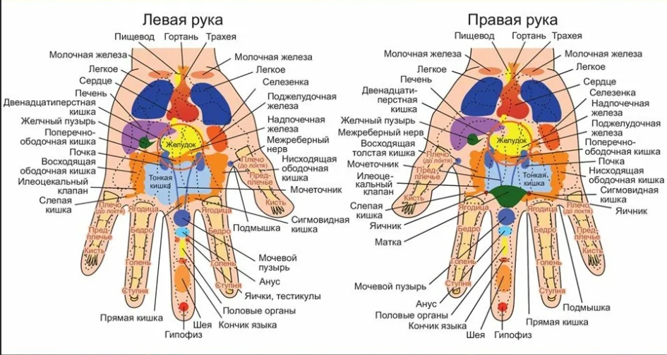 Карта руки су джок