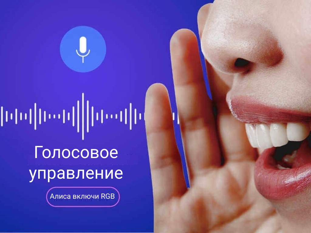 Kasoma_ Golosovoy Assistent.png