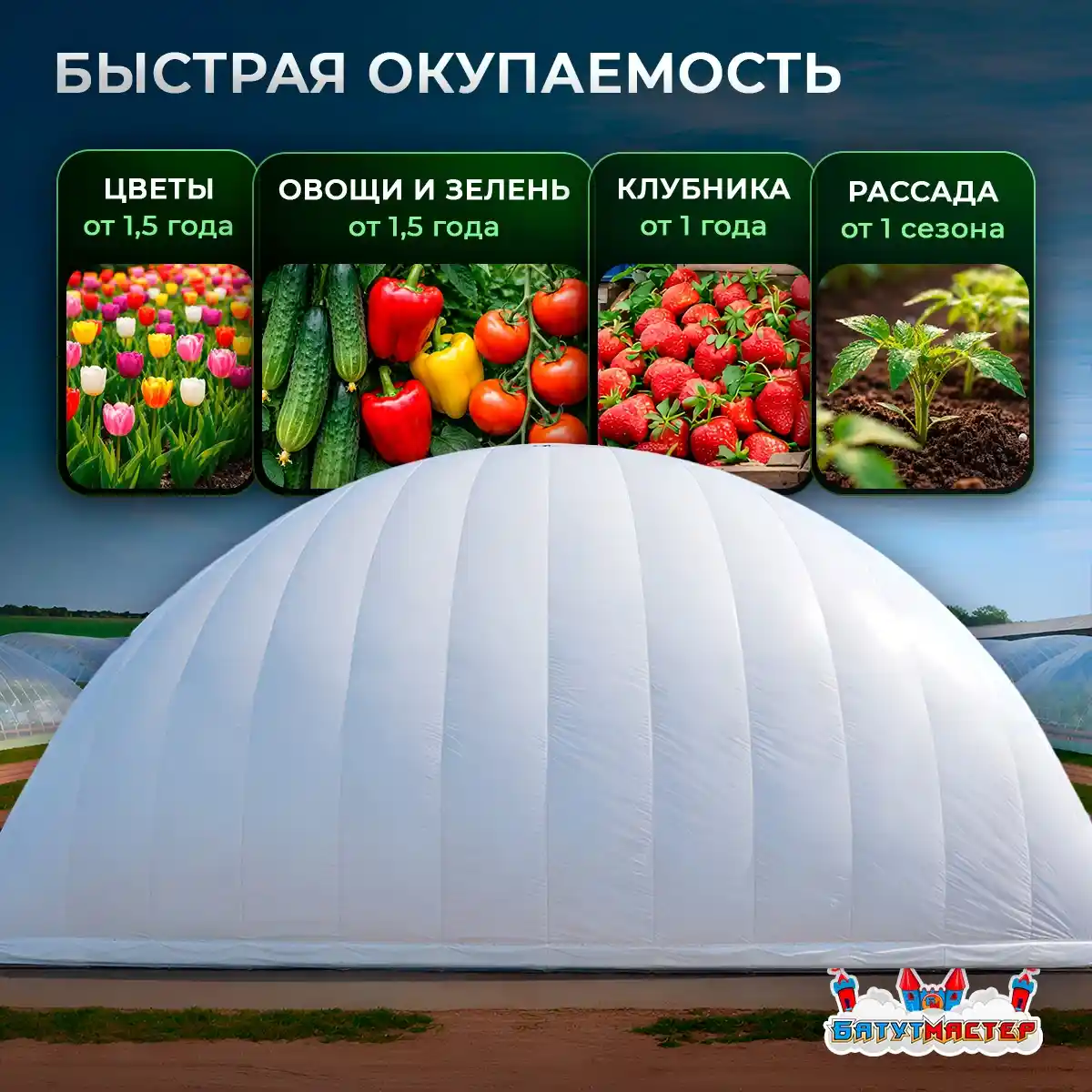 Окупаемость бизнес теплицы
