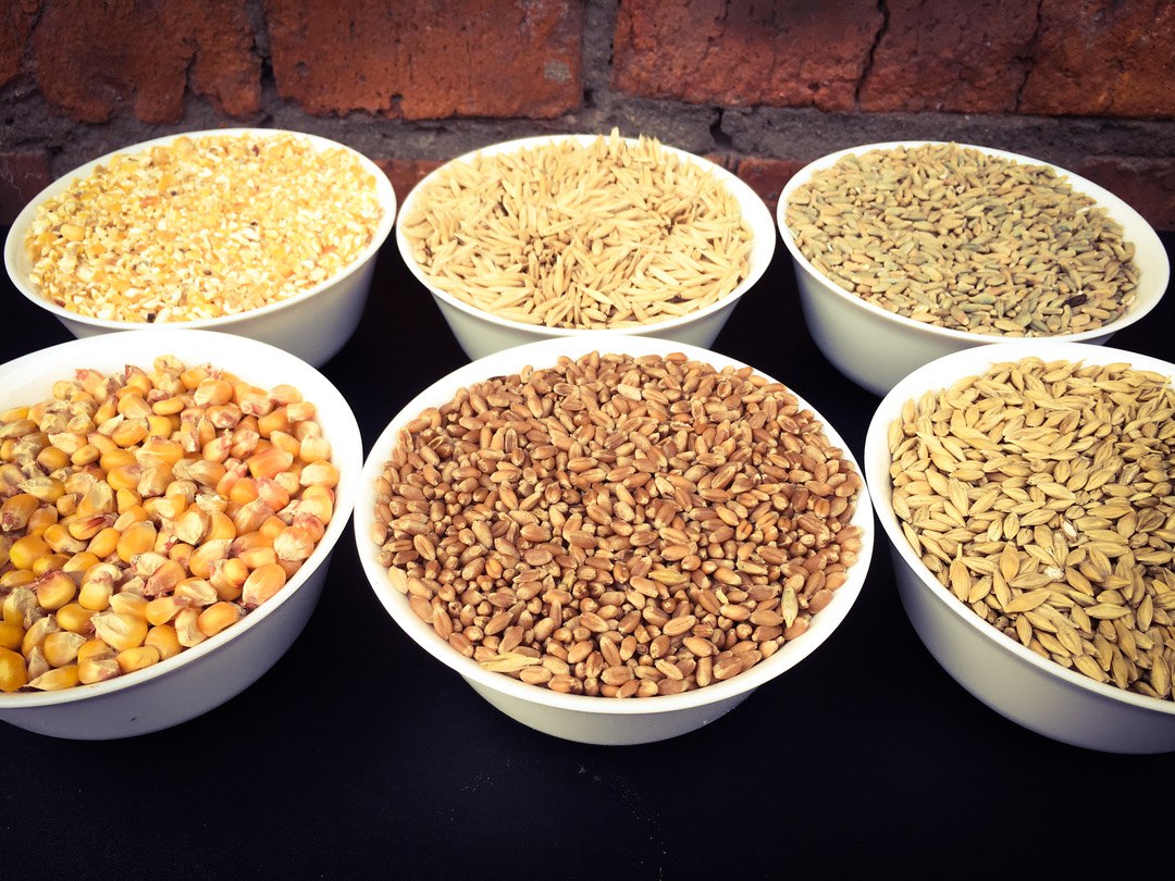 Проращивание семян пшеницы в домашних условиях для самогона