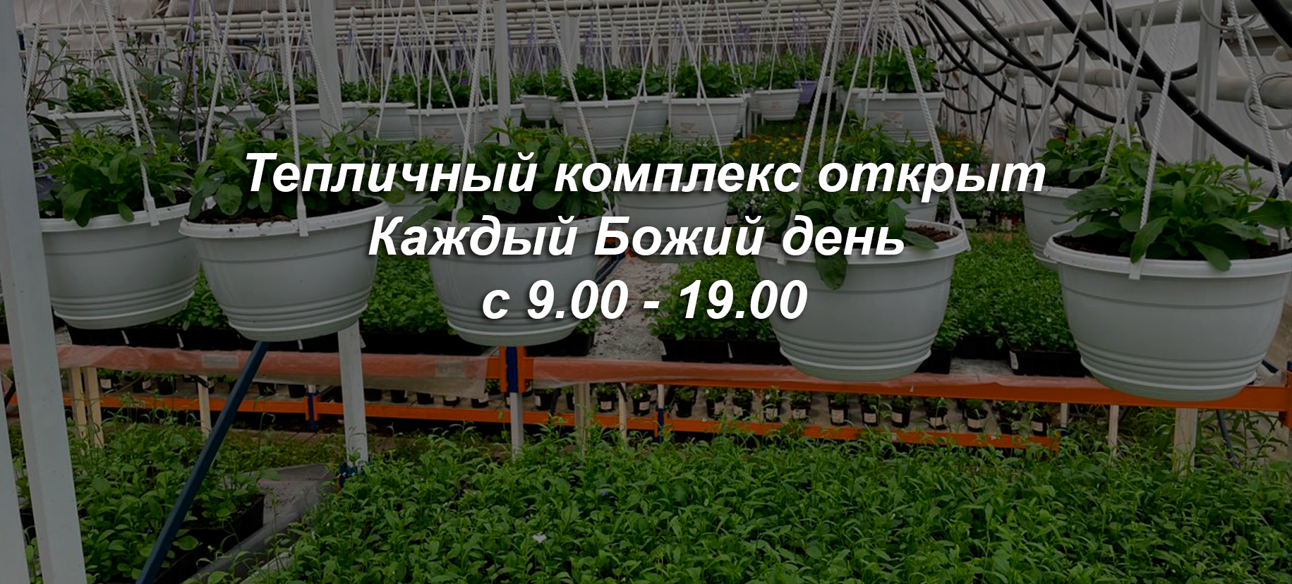 Быстрая доставка до двери