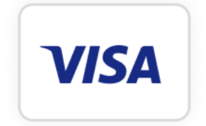 Payment system icon