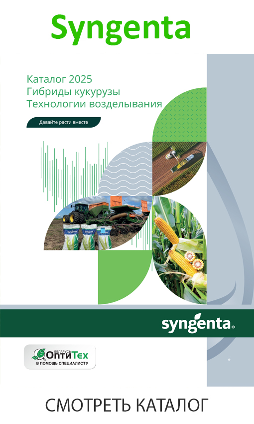 syngenta_каталог_кукуруза_2025.jpg