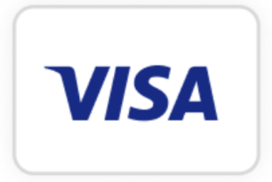 Payment system icon
