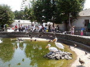 Детский парк, пр-т Кирова, 51