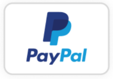 Payment system icon