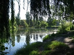 Гагаринский парк, ул. Гагарина.