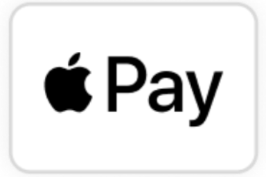 Payment system icon