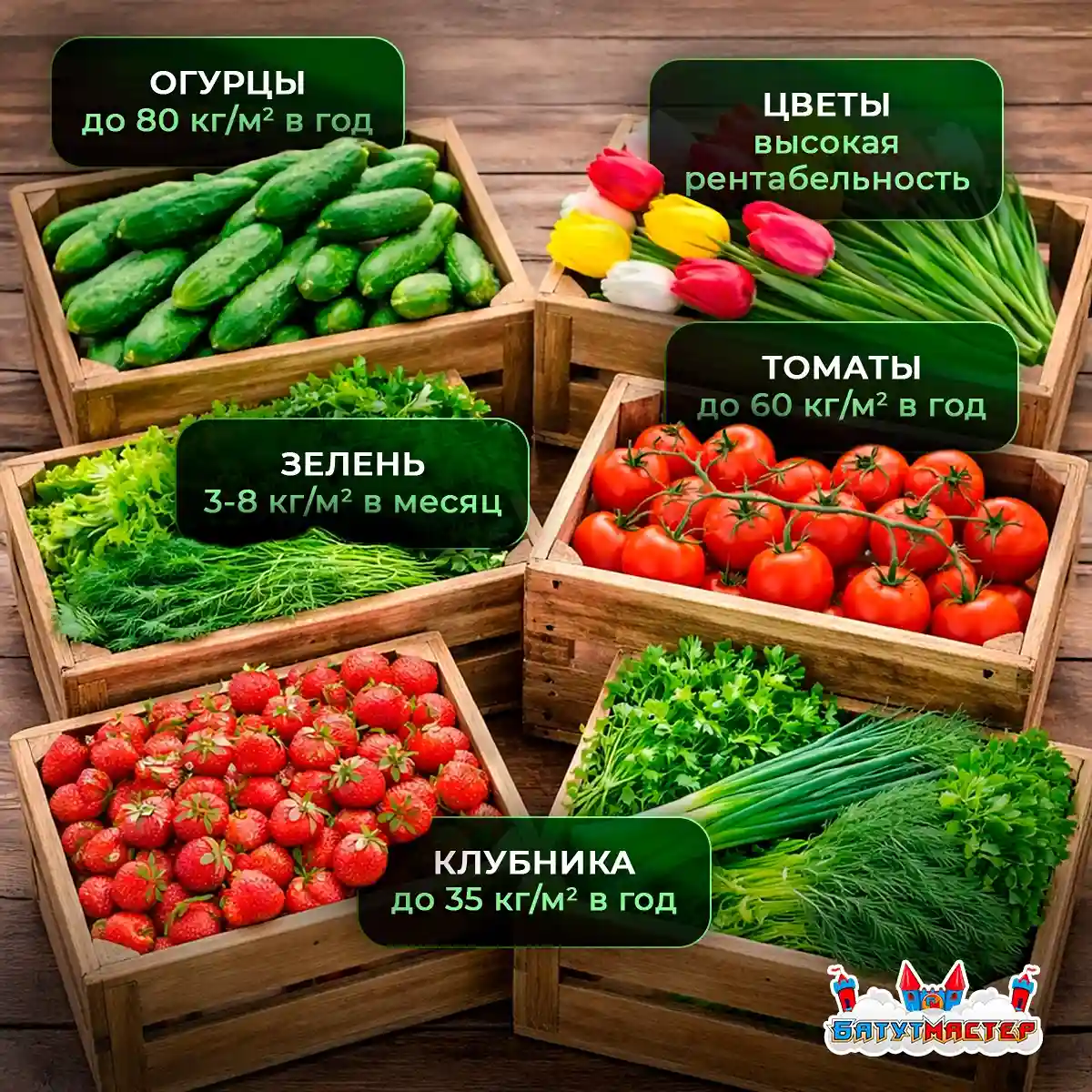 Урожай в теплице культуры