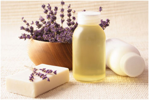 lavender-photo3.jpg