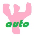 АВТОКОРАЛЛ