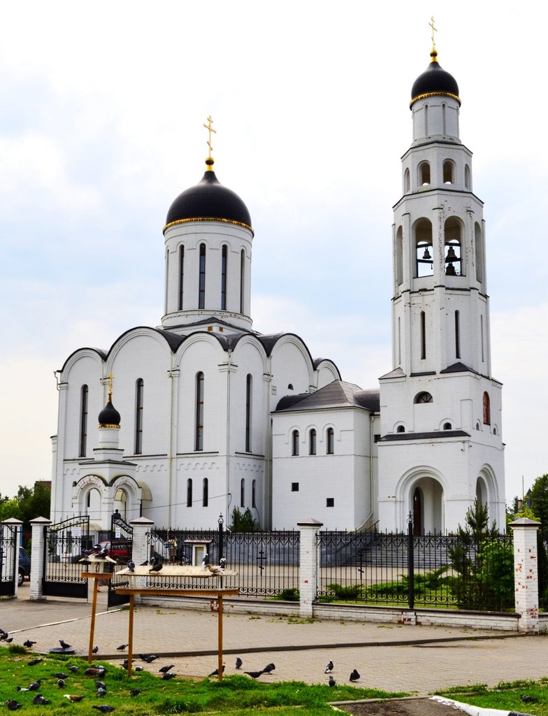 Апрелевка московской области фото город