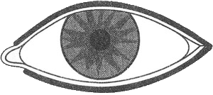 Средний универсальный контур для глаз
