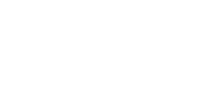 Rudiks