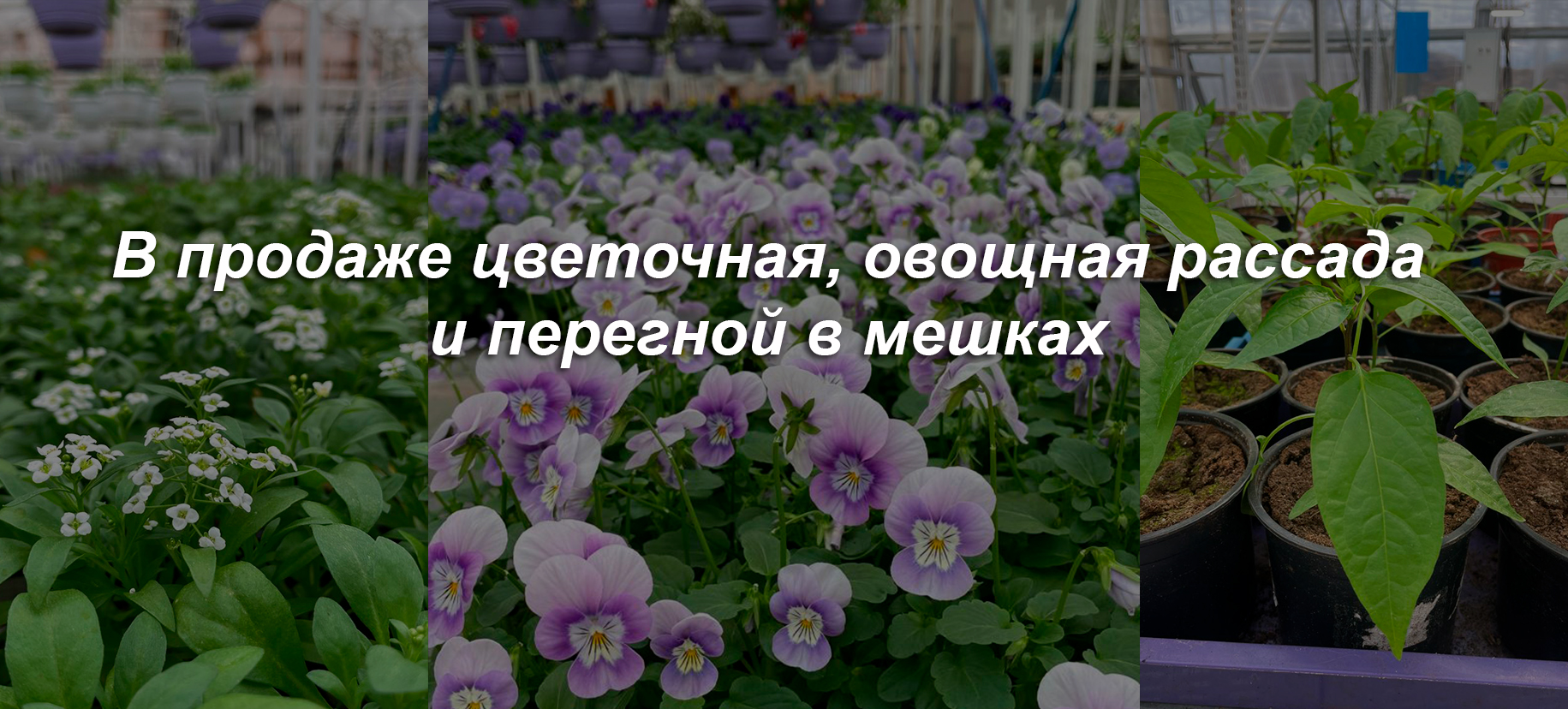 Слайдер Блок 1