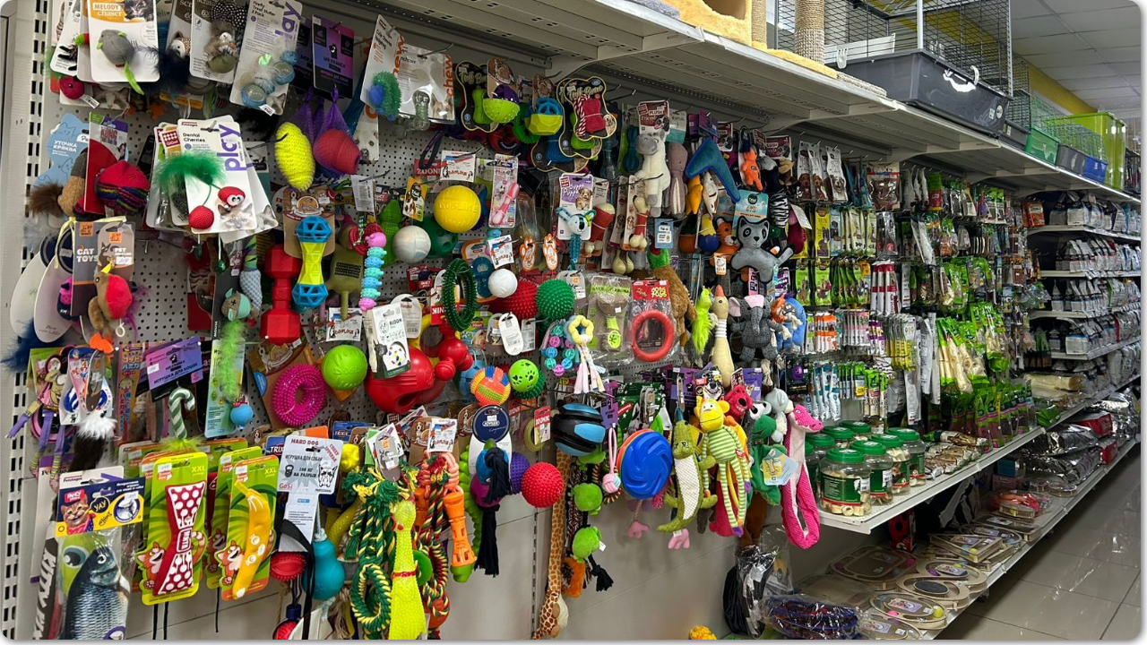 Шаблон 1024х720 Шаблон 1024х720.png