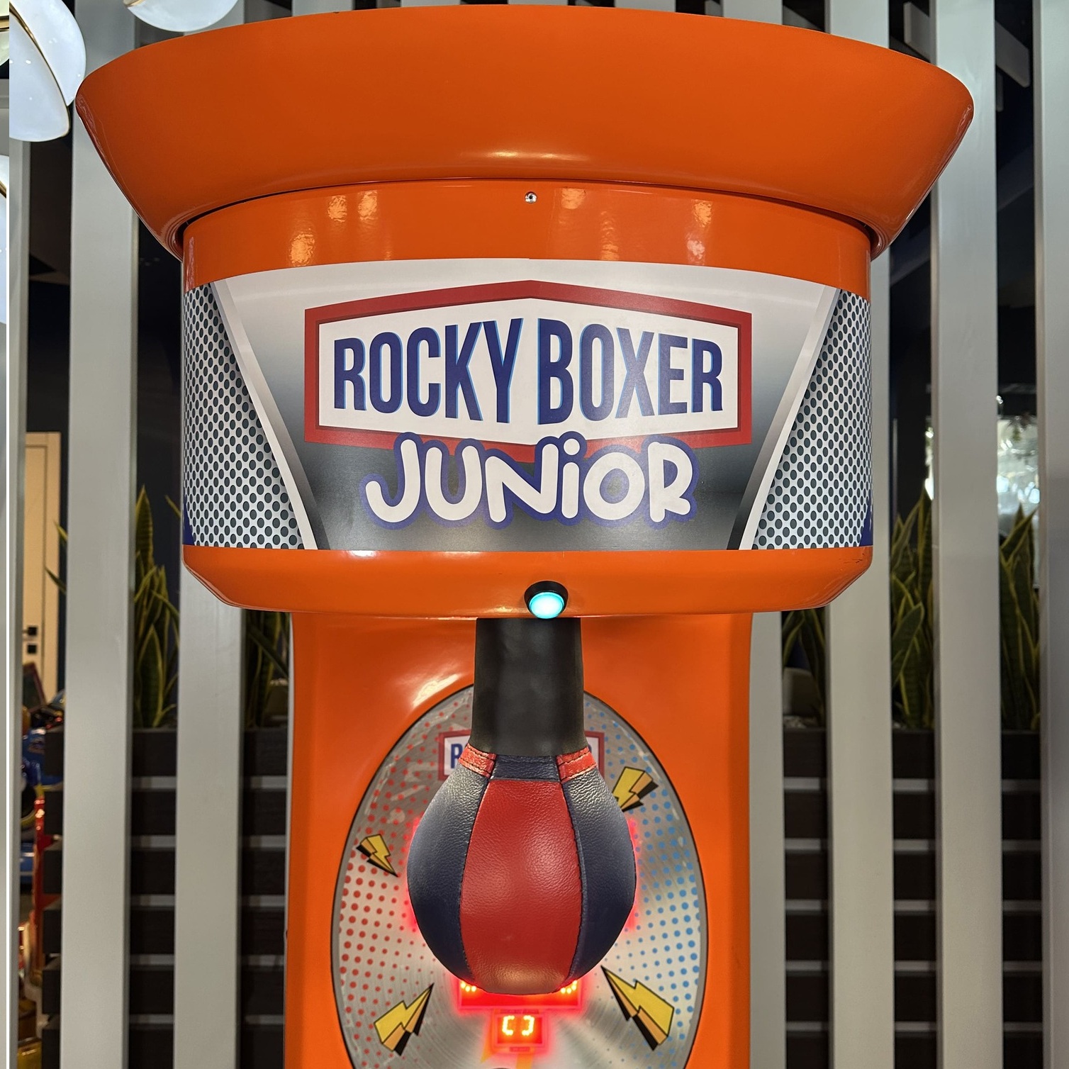 джуниор_оранж_5 джуниор_оранж_5.jpg