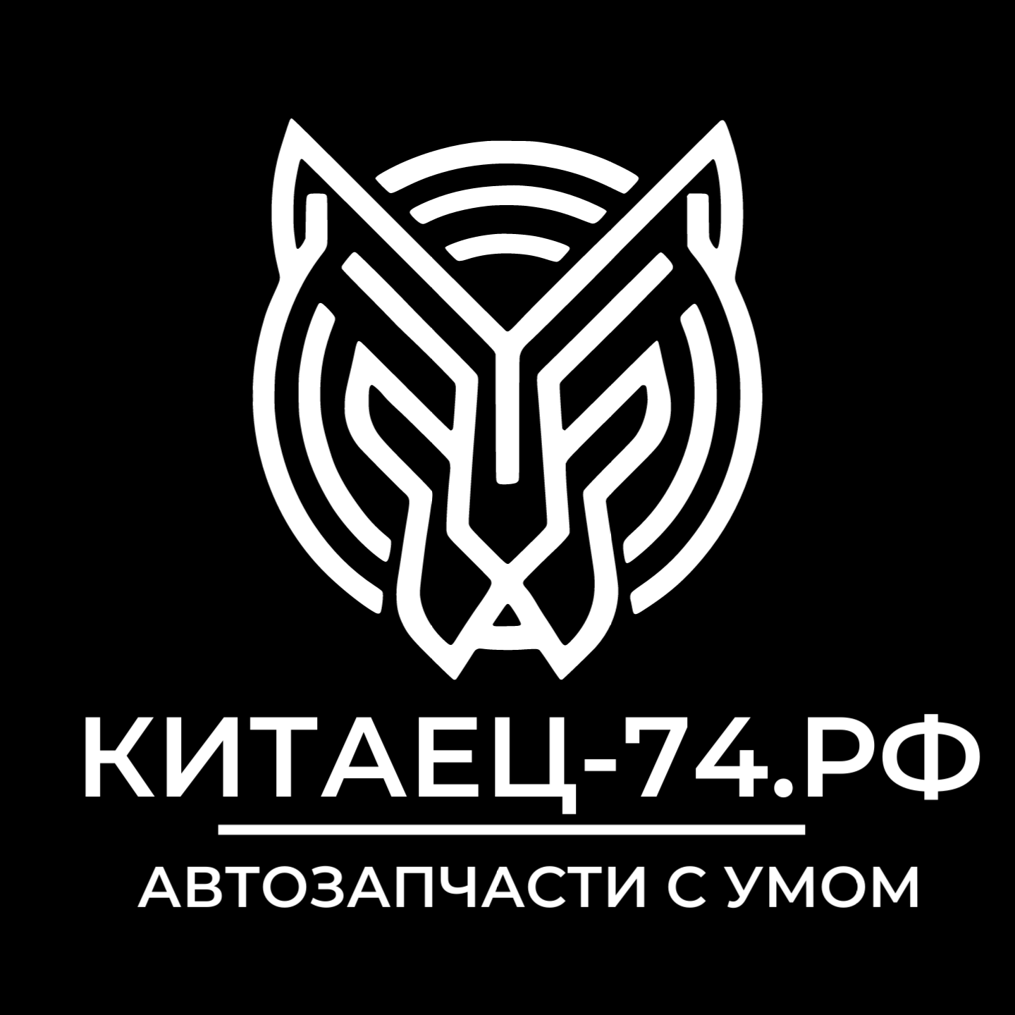 "КИТАЕЦ-74.РФ" НА СОЦИАЛИСТИЧЕСКОЙ 34  интернет магазин запчастей для китайских автомобилей Chery, Exeed, Omoda, Jaecoo, Jetour, Kaiyi, Exlantixс, Geely,  Livan, Zeekr, Lynk & Co, Volvo, Lotus, Smart, Polestar, Great Wall Motor (GWM),  Haval, Tank, Ora, Wey,  Dongfeng ,Paladin, Oding, FAW ,Hongqi, Bestune, Jetta,  Changan, Avatr, Deepal, Lifan, JAC, Москвич, Jetour, Kaiyi, Wey, Oraпо низким ценам с доставкой в городе Челябинск.