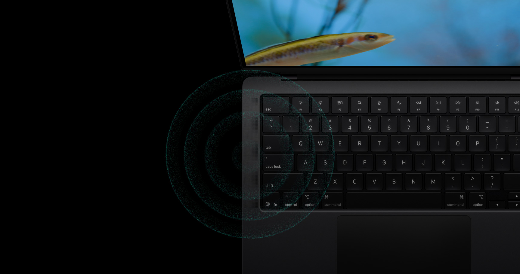 Аудиосистема MacBook Pro 14