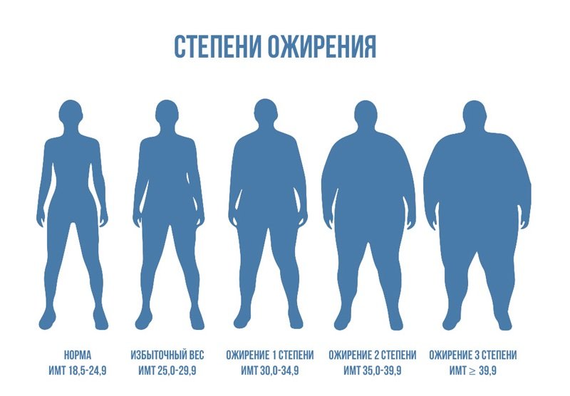 Тема 4. Питание при ожирении