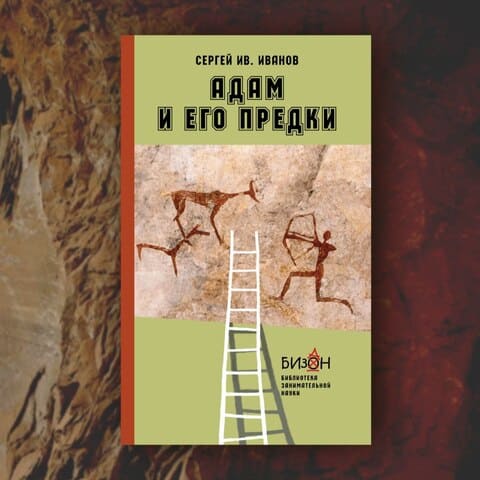 6706e0c8-c4a5-492f-a632-41edcace3a36 (1).jpg